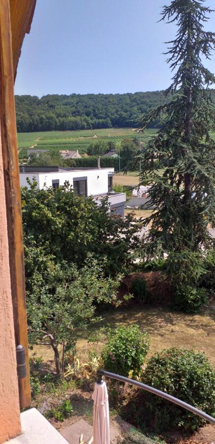 Gite Dans Vignoble Alsacien Westhalten Exteriör bild
