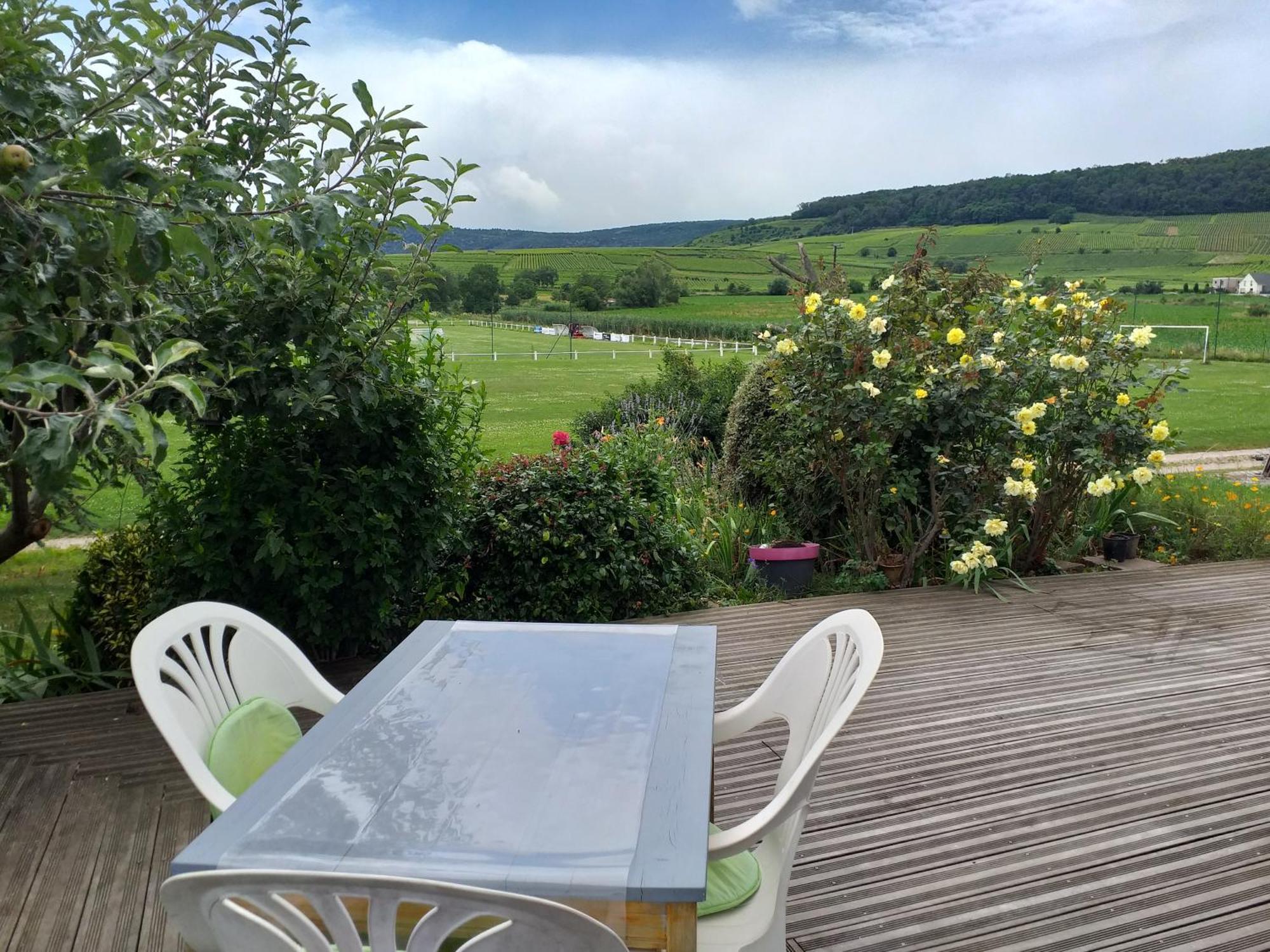 Gite Dans Vignoble Alsacien Westhalten Exteriör bild